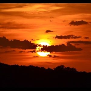 Meet your Posher, Lilly